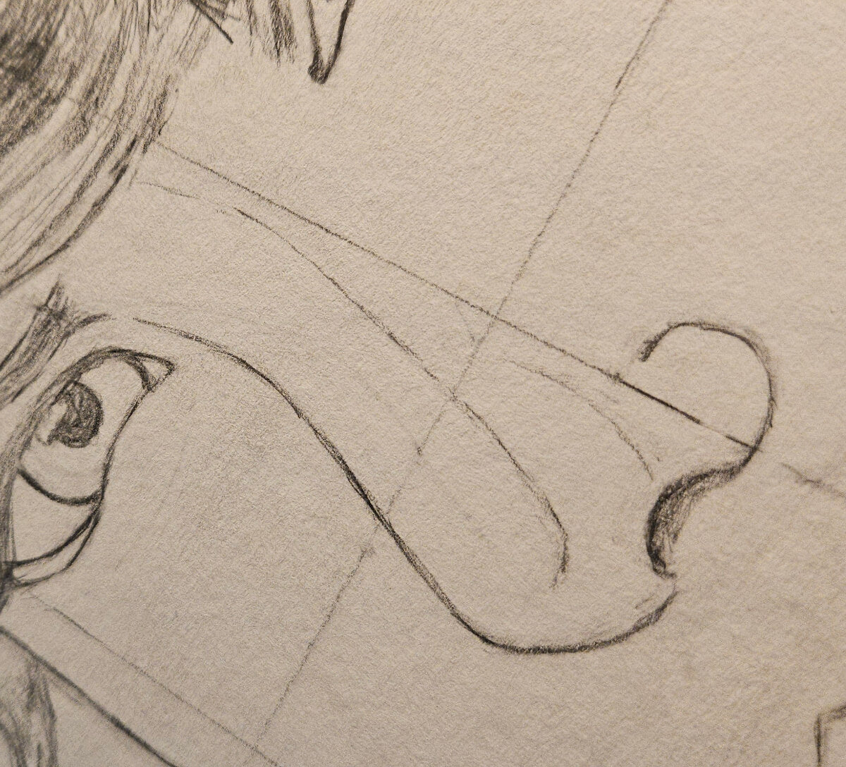 Ferocity - Jolee McMullen Portrait