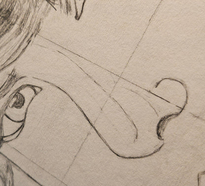 Ferocity - Jolee McMullen Portrait