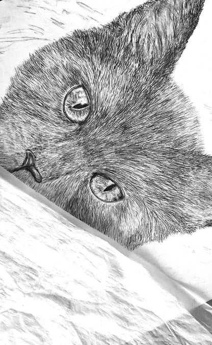 Close-up of a pencil drawing of a cat's face with detailed eyes and fur.