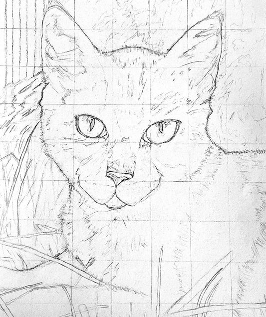Detailed line drawing of a cat on paper