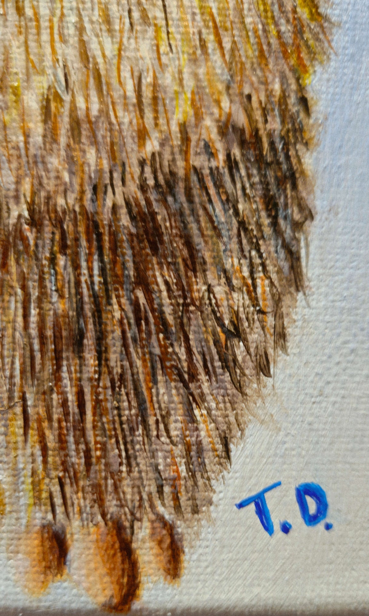 Close-up of a textured brown fur with 'T.D.' signature on a white background